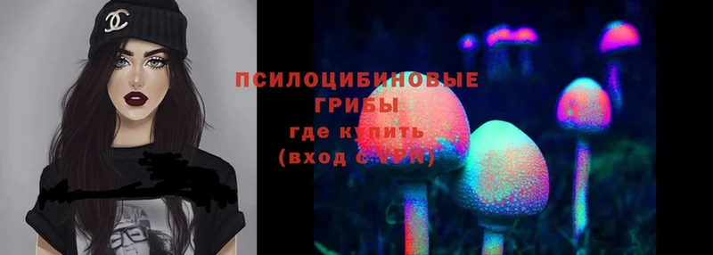 Галлюциногенные грибы Magic Shrooms  Красногорск 